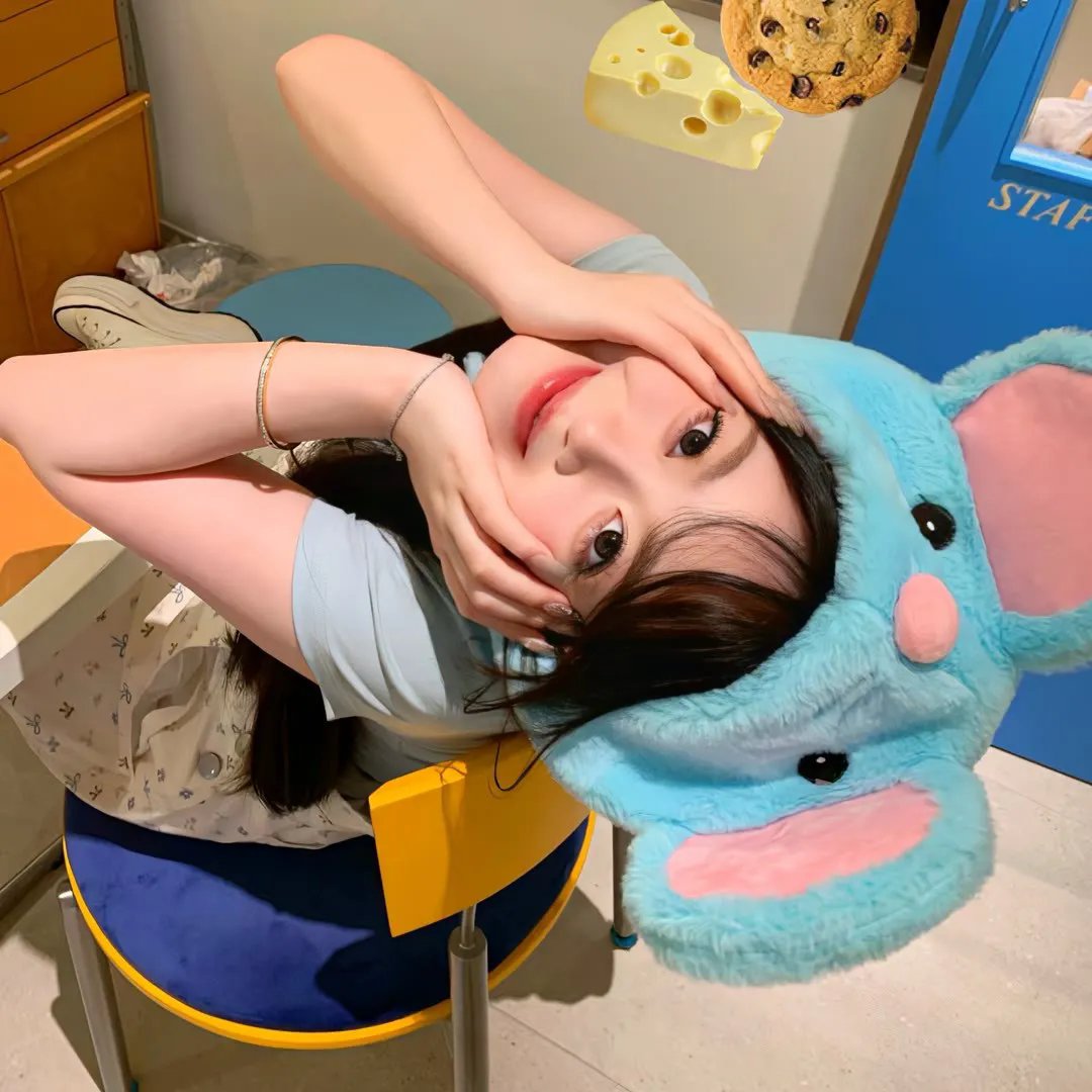 布格迪先生